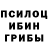 Псилоцибиновые грибы Psilocybine cubensis Jelena Junikova