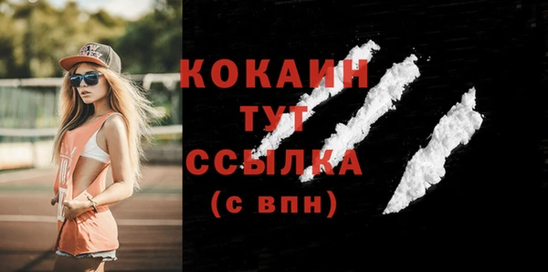 шишки Богданович