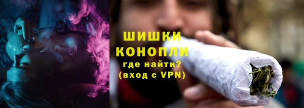 шишки Богданович