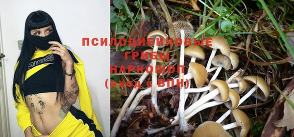 ешки Богородицк